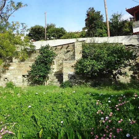 Villa Old Stone Andros Palaiópolis