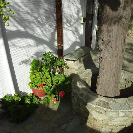 Old Stone Andros Βίλα